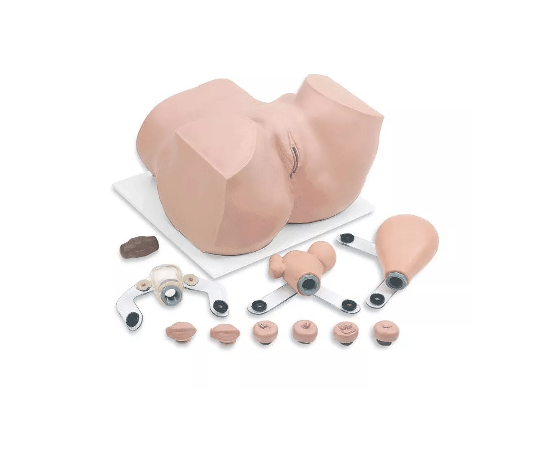 Gynäkologisches Übungsmodell - Erler - Zimmer